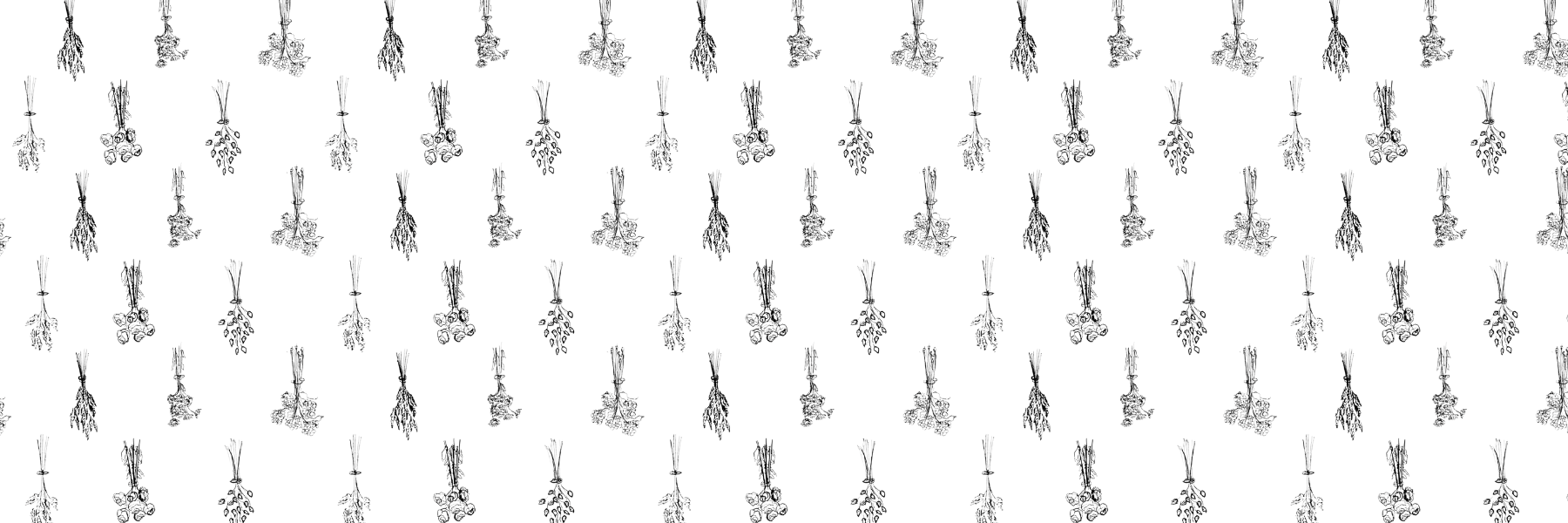Flow pattern across